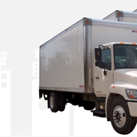 Портфолио Ellene Boyd